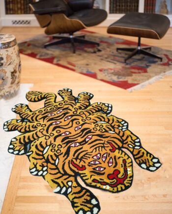 Modern Carpet - Tapete de baño, tapete de entrada para dormitorio, cocina, tapete de área de dibujos animados para baño, bañera, tapete de baño suave (4 x 6 pies)